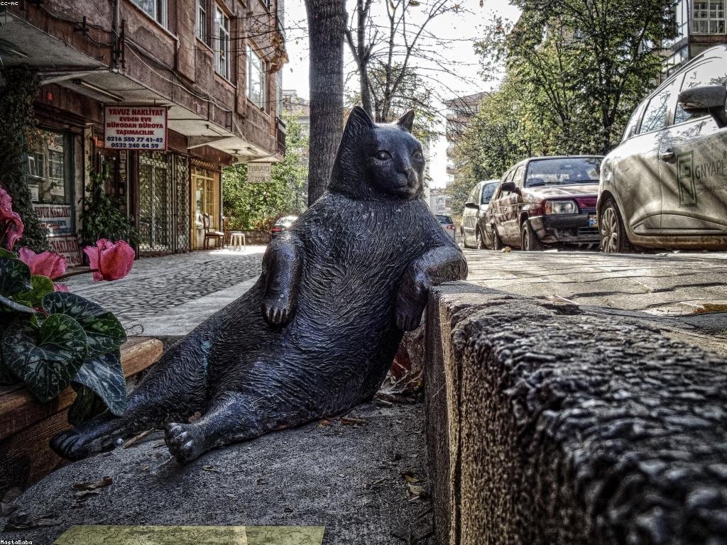 យល់អំពីការបង្វិលឥតគិតថ្លៃ: លទ្ធផលនិងអត្ថប្រយោជន៍