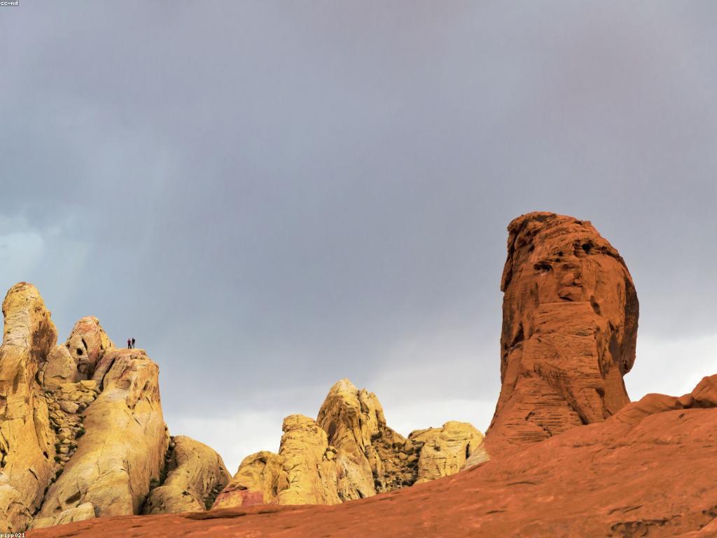 យុទ្ធសាស្ត្រក្នុងការបង្កើនចរាចរអេឡិចត្រូនិកដោយឥតគិតថ្លៃ